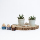 PLANTS- SET-01 037 DSCF4488