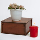 PLANTS- SET-01 058 DSCF4564