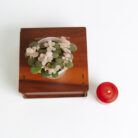 PLANTS- SET-01 060 DSCF4568