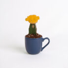 PLANTS- SET-01 101 DSCF4697