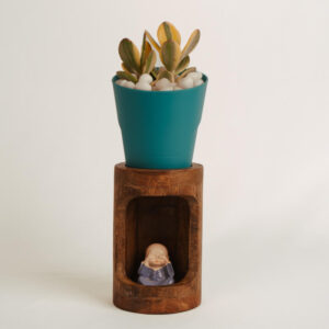 Succulent