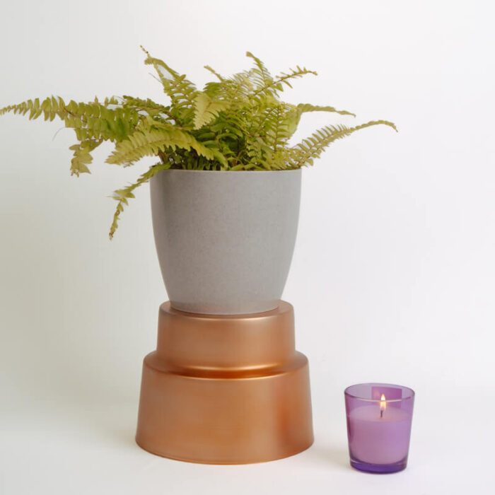 PLANTS- SET-01 118 DSCF4763 PLANTS- SET-01 118 DSCF4763