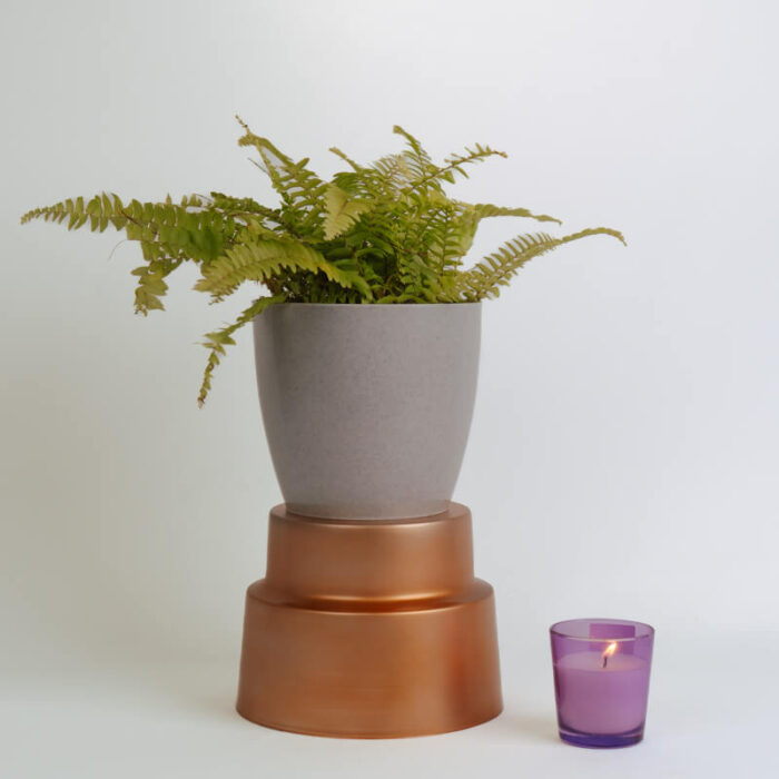 PLANTS- SET-01 120 DSCF4767 PLANTS- SET-01 120 DSCF4767