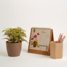 PLANTS- SET-01 148 DSCF4840