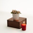 PLANTS- SET-02 015 DSCF0739