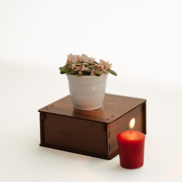 PLANTS- SET-02 015 DSCF0739