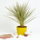 PLANTS- SET-02 207 DSCF1334