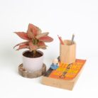 PLANTS- SET-03 010 DSCF1684