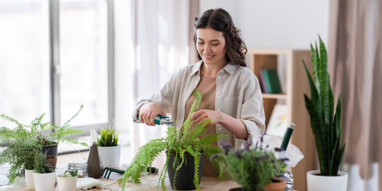 How to Care for Indoor Plants: Best Plants for Home That Thrive Easily